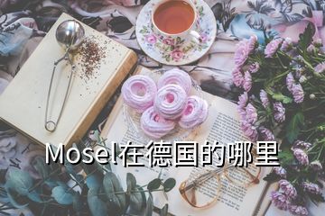 Mosel在德国的哪里