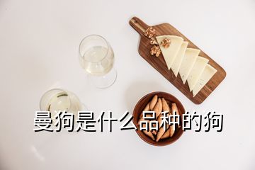 曼狗是什么品种的狗