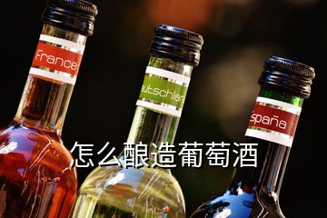 怎么酿造葡萄酒