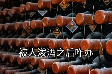 被人泼酒之后咋办