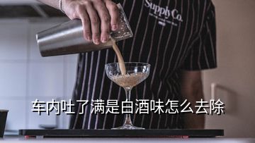 车内吐了满是白酒味怎么去除