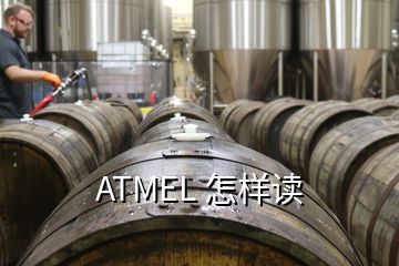 ATMEL 怎样读