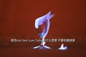 德语das Sein zum Tode 是什么意思 不要机翻谢谢