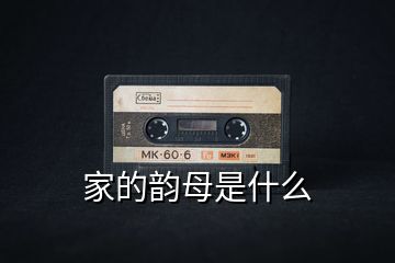 家的韵母是什么