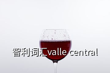 智利词汇valle central