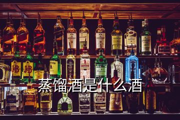 蒸馏酒是什么酒