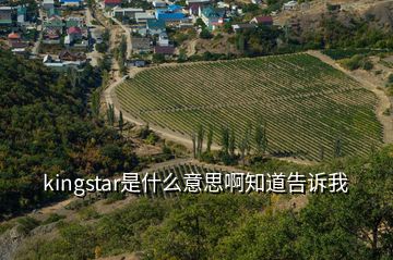 kingstar是什么意思啊知道告诉我