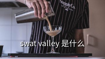 swat valley 是什么