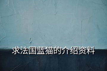 求法国蓝猫的介绍资料