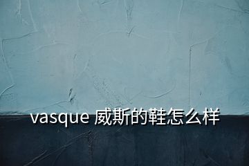 vasque 威斯的鞋怎么样