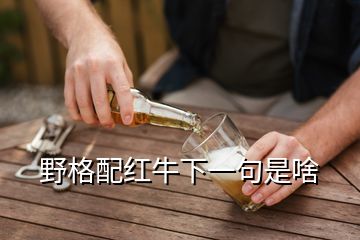 野格配红牛下一句是啥