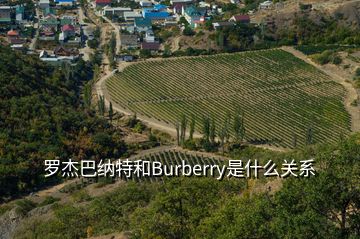 罗杰巴纳特和Burberry是什么关系