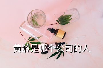 黄龄是哪个公司的人