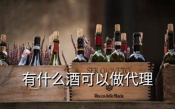 有什么酒可以做代理