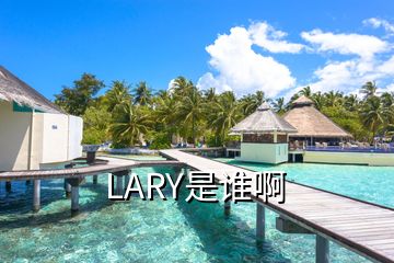 LARY是谁啊