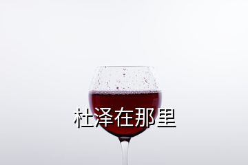 杜泽在那里