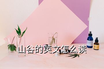 山谷的英文怎么读