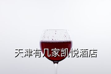 天津有几家凯悦酒店