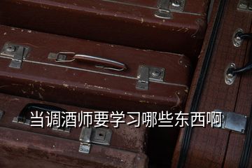 当调酒师要学习哪些东西啊