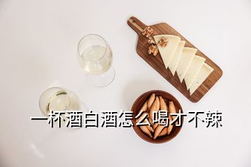 一杯酒白酒怎么喝才不辣