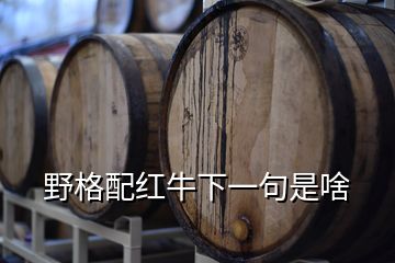 野格配红牛下一句是啥