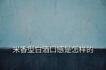 米香型白酒口感是怎样的