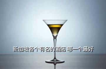 新加坡各个有名的酒店 哪一个最好