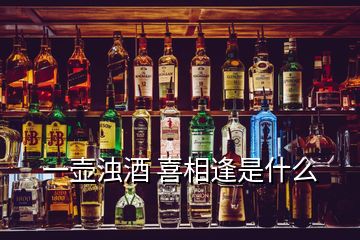 一壶浊酒 喜相逢是什么