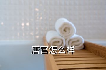 唐宫怎么样