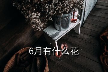 6月有什么花