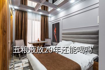 五粮液放20年还能喝吗