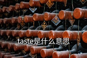 taste是什么意思