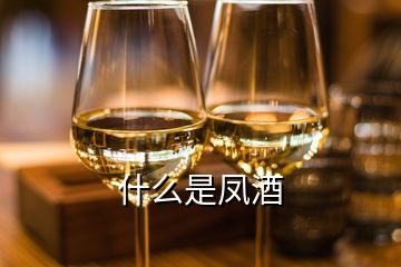 什么是凤酒