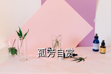 孤芳自赏