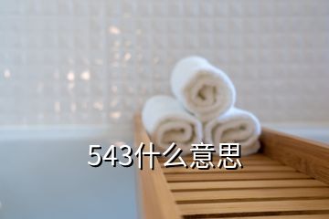 543什么意思