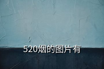 520烟的图片有