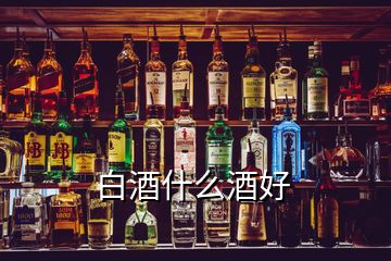 白酒什么酒好