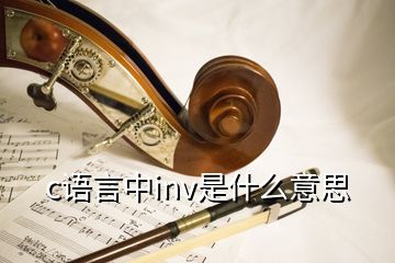 c语言中inv是什么意思