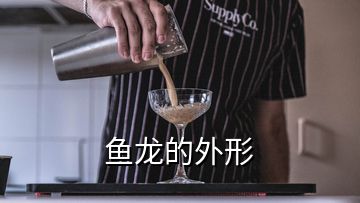 鱼龙的外形