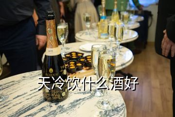 天冷饮什么酒好