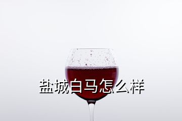 盐城白马怎么样