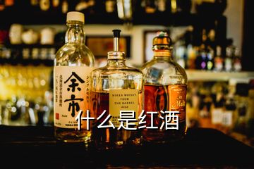 什么是红酒