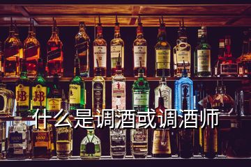 什么是调酒或调酒师