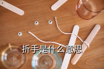 折手是什么意思