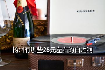 扬州有哪些25元左右的白酒啊