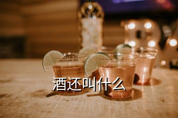 酒还叫什么