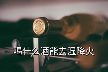 喝什么酒能去湿降火