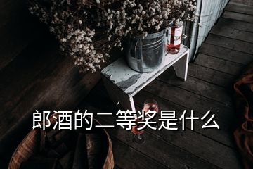 郎酒的二等奖是什么