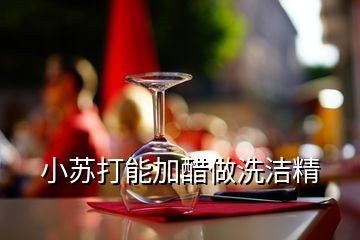 小苏打能加醋做洗洁精