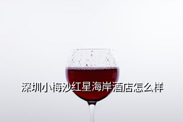 深圳小梅沙红星海岸酒店怎么样